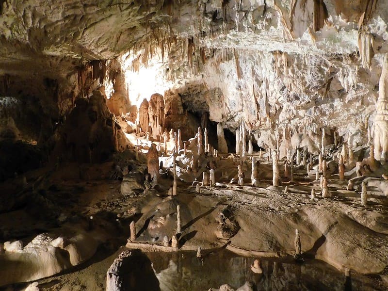 grotte di postumia slovenia